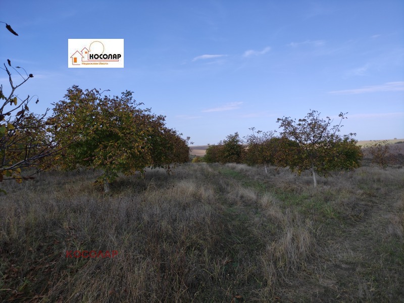 Te koop  Land regio Roese , Vetovo , 44 dka | 73440630 - afbeelding [6]