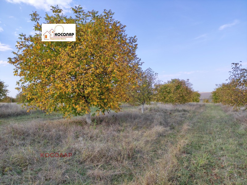 For Sale  Land region Ruse , Vetovo , 44 dka | 73440630 - image [2]