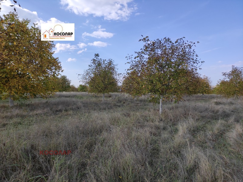 Te koop  Land regio Roese , Vetovo , 44 dka | 73440630 - afbeelding [4]