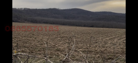 ������� ������ | Imot.bg � ����� ������ 5