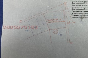 ����� ������� ������,�. ������, ������ ���������