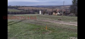 ����� ������� ������,�. ������, ������ ���������