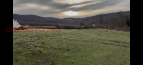 ����� ������� ������,�. ������, ������ ���������>