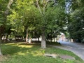 Продава МАГАЗИН, област Пазарджик, гр. Септември • 42000 € • 53387808 — Holmes.bg