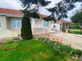 ������ ������� ����