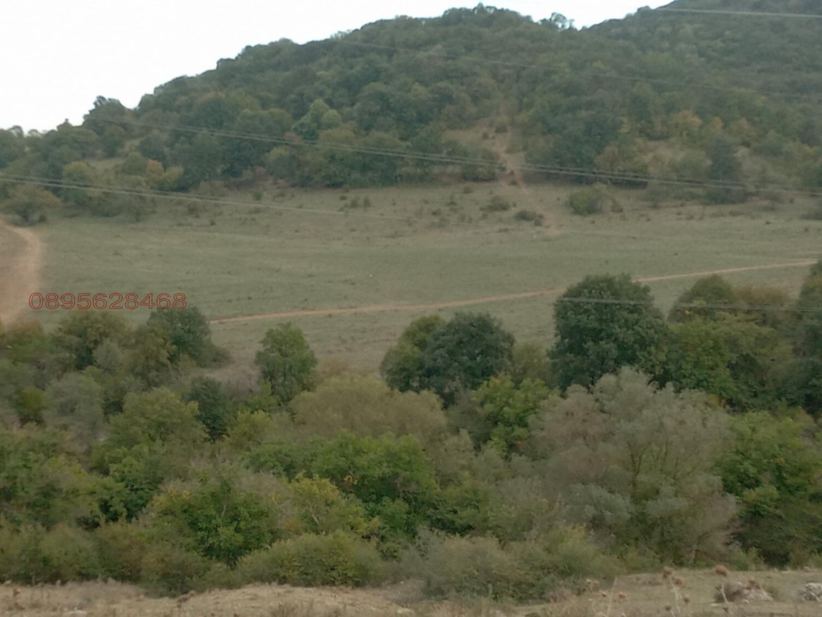 Продава ЗЕМЕДЕЛСКА ЗЕМЯ, с. Змейово, област Стара Загора, снимка 3 - Земеделска земя - 53974039