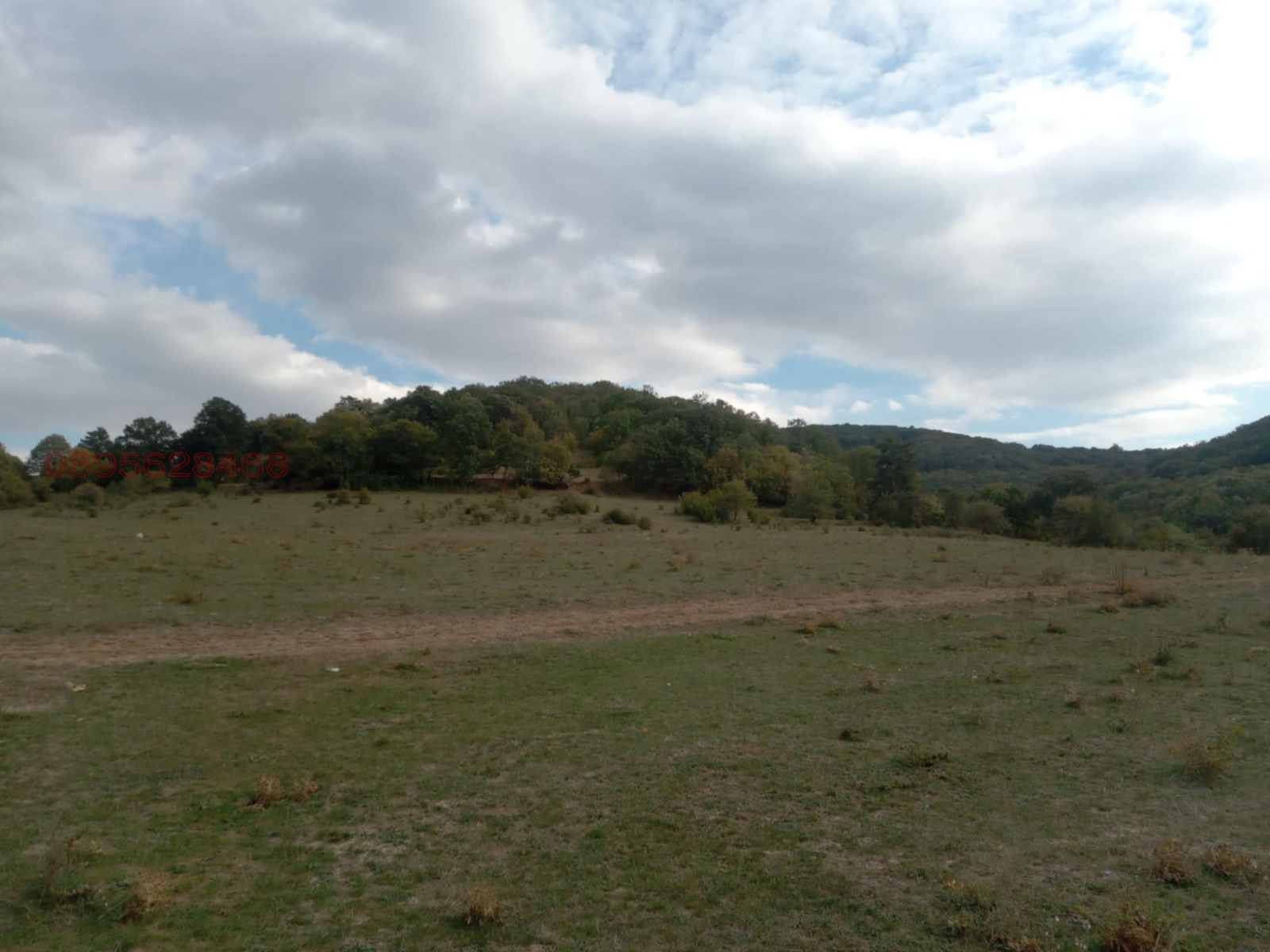 Продава ЗЕМЕДЕЛСКА ЗЕМЯ, с. Змейово, област Стара Загора, снимка 4 - Земеделска земя - 53974039