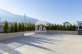 ����� ������� ����,���� �����, ����������