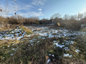 Handlung Gabarniza, region Varna 4