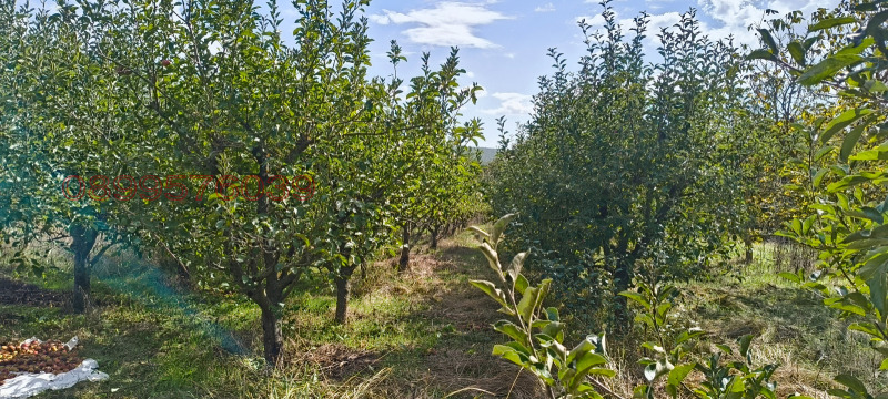 Продава ПАРЦЕЛ, с. Кривини, област Варна, снимка 4 - Парцели - 53196354