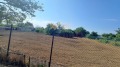 Продава ПАРЦЕЛ, област Варна, с. Новаково • 48000 € • 68619245 — Holmes.bg