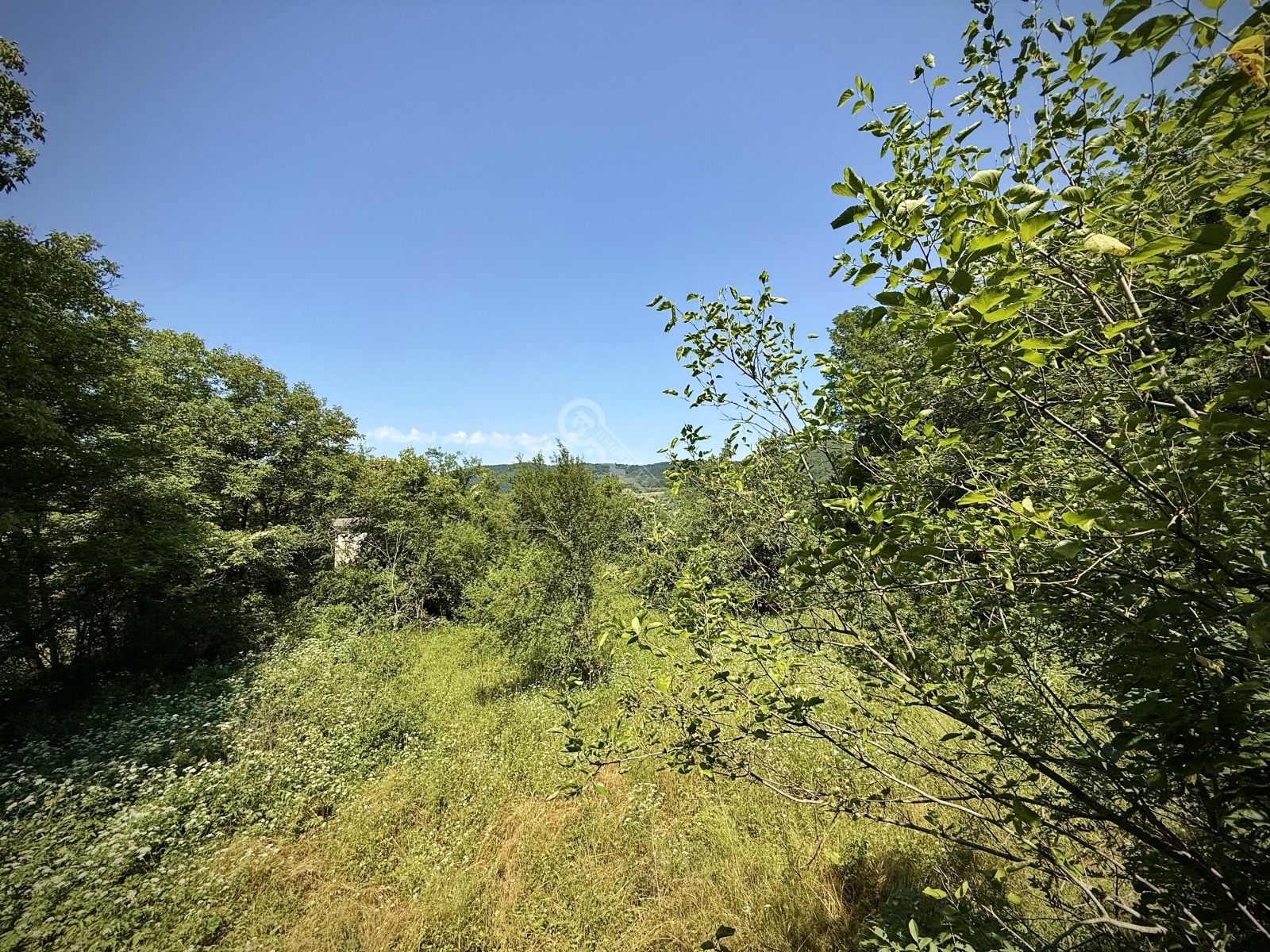 ������� ���� | Imot.bg � ����������� 12
