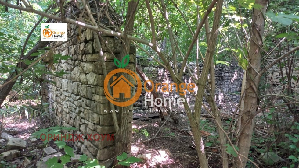 ������� ������ | Imot.bg � ����������� 13