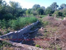 ������� ������ | Imot.bg � ����� ������ 12