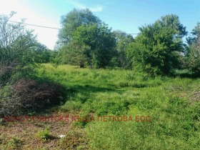 ������� ������ | Imot.bg � ����� ������ 8