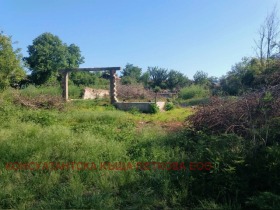 ����� ������� ������,�. �����, ������ �����