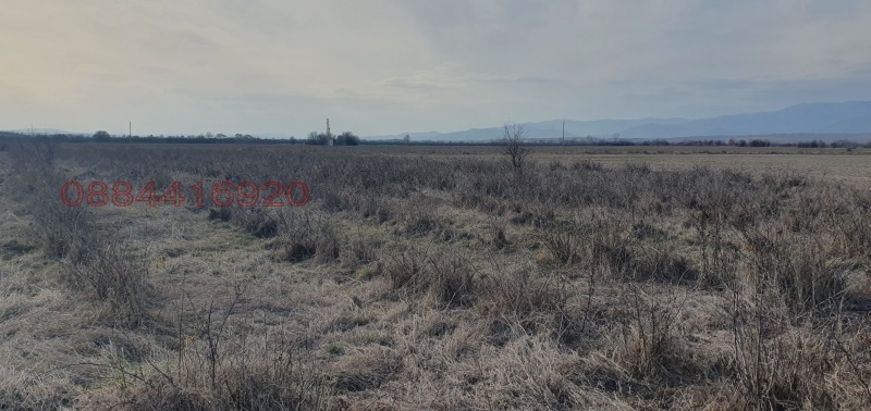 Na sprzedaż  Działka region Płowdiw , Czerniczewo , 6361 mkw | 45521027 - obraz [7]