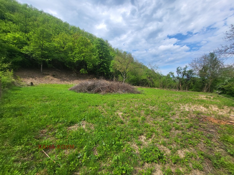 In vendita  Complotto regione Lovech , Beli Osam , 1636 mq | 84246107 - Immagine [3]