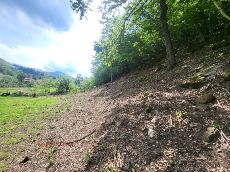 In vendita  Complotto regione Lovech , Beli Osam , 1636 mq | 84246107 - Immagine [5]