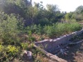 Продава ПАРЦЕЛ, с. Горан, област Ловеч, снимка 11