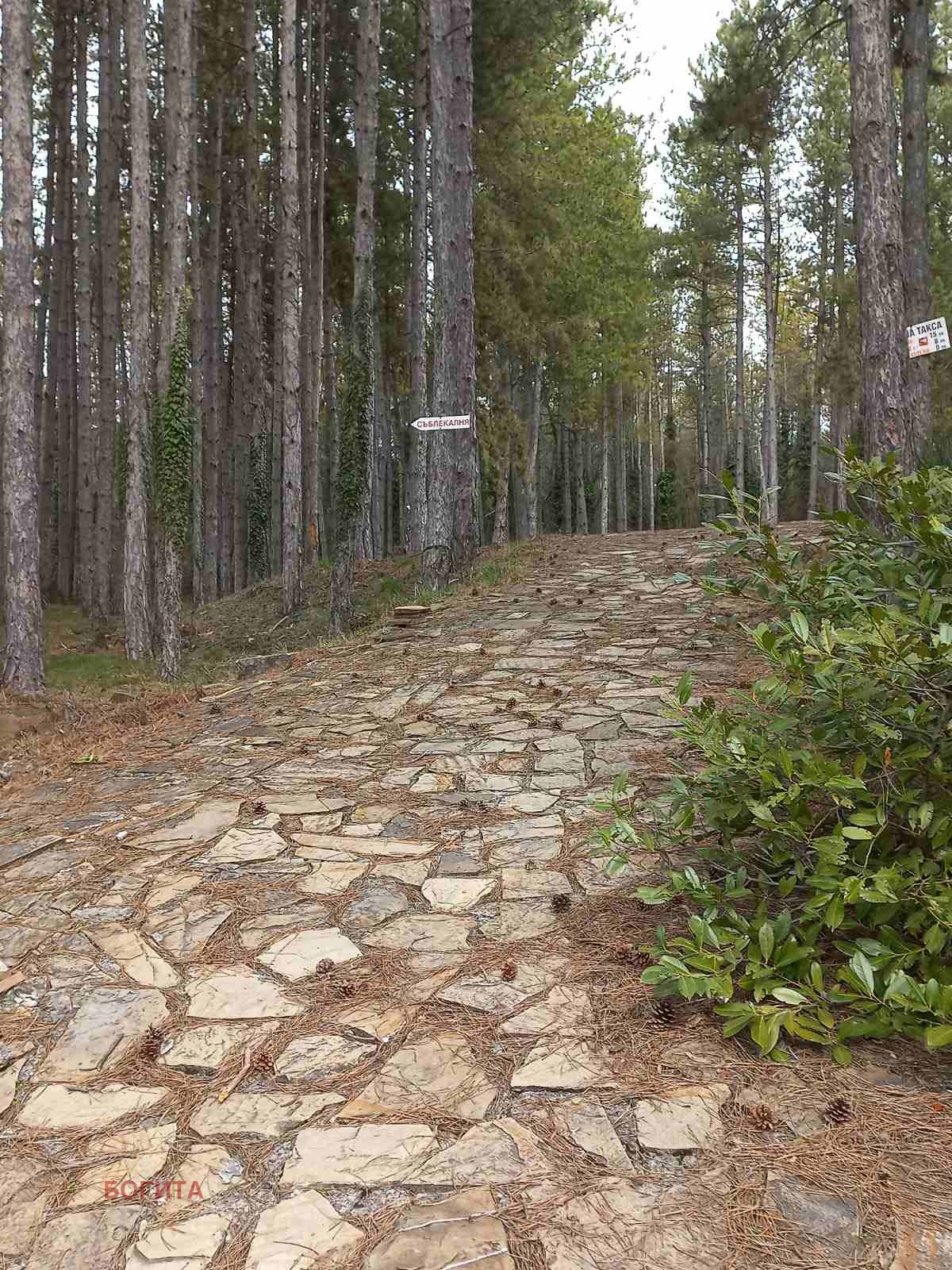 ������� ����� | Imot.bg � ����������� 11