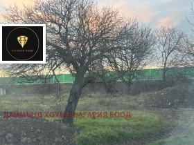 ������ ������� ������