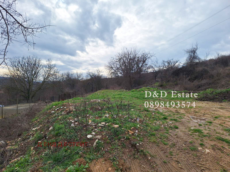 Продава ПАРЦЕЛ, с. Лясково, област Стара Загора, снимка 3 - Парцели - 53512814