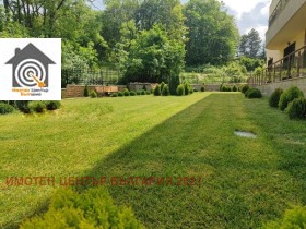 ����� ������� 3-�����,���� �����, �-� ������ ����