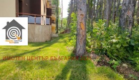 ����� ������� 3-�����,���� �����, �-� ������ ����