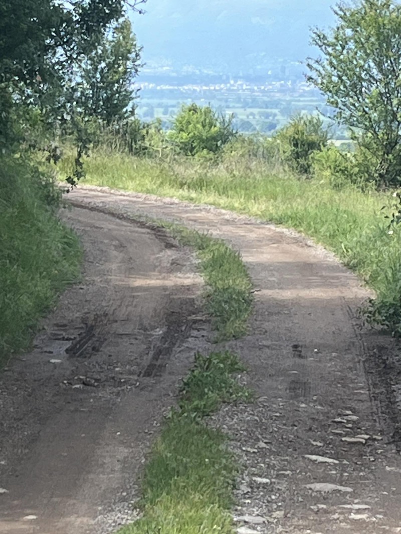 De vânzare  Complot Sofia , Voinegovți , 696 mp | 43249444 - imagine [2]