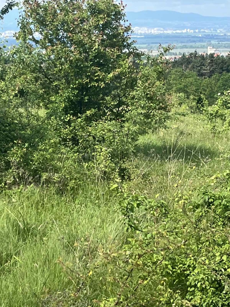 De vânzare  Complot Sofia , Voinegovți , 696 mp | 43249444 - imagine [3]