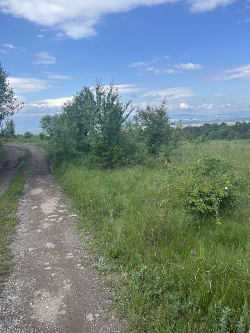 De vânzare  Complot Sofia , Voinegovți , 696 mp | 43249444