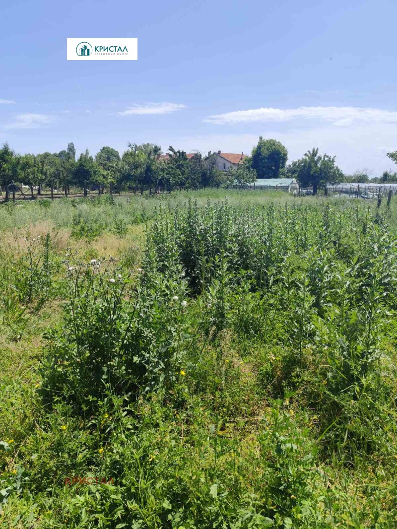 Προς πώληση  Οικόπεδο περιοχή Plovdiv , Σταροσελ , 750 τ.μ | 57617806 - εικόνα [4]