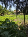 Продава КЪЩА, с. Долна Липница, област Велико Търново, снимка 13