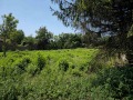 Продава КЪЩА, с. Долна Липница, област Велико Търново, снимка 17