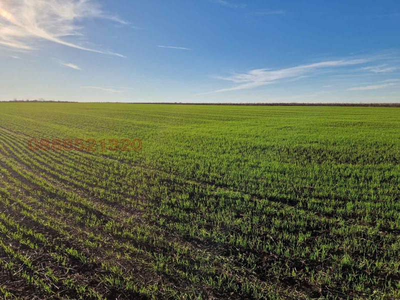 Продава ПАРЦЕЛ в област Бургас, гр. Поморие - 7000 кв.м / 315 000 € » 616 086.45 лв.