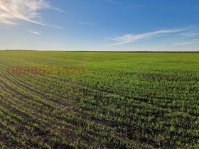 ����� ������� ������,��. �������, ������ ������