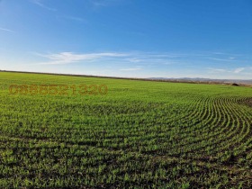 ПАРЦЕЛ, 7 000 m2