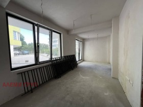 ����� ������� ������,���� �����, ����