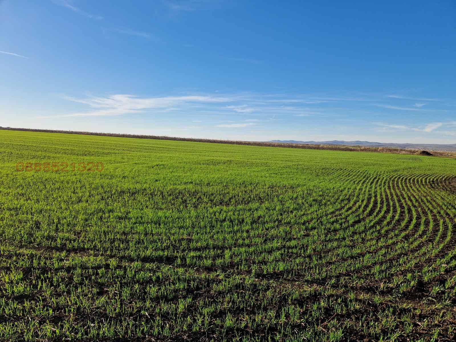 Продава ПАРЦЕЛ, гр. Поморие, област Бургас, снимка 6 - Парцели - 53644633