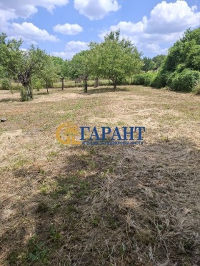 ������� ���� | Imot.bg � ����� ������ 8