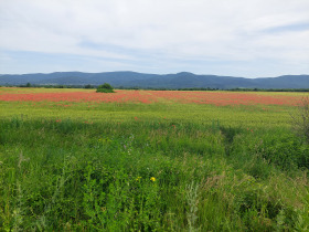 Плот Ковач, регион Стара Загора 1