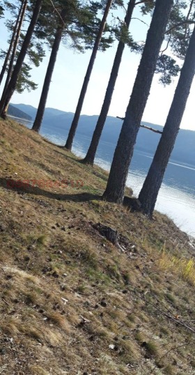 ����� ������� ���������� ����,��. ������, ������ ������