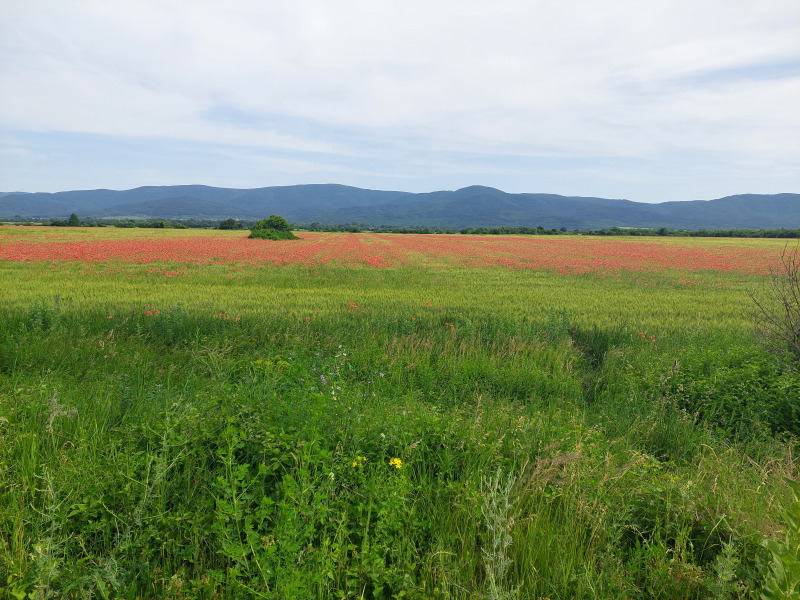 À venda  Trama região Stara Zagora , Kovatch , 1062 m² | 79430455