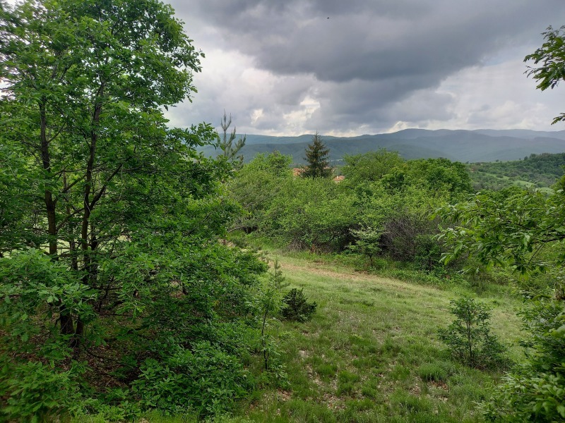 Til salg  Grund region Burgas , Kableshkovo , 7792 kvm | 22808566