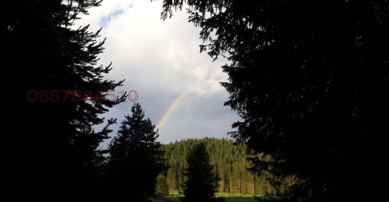 Продава ЗЕМЕДЕЛСКА ЗЕМЯ, гр. Доспат, област Смолян, снимка 2 - Земеделска земя - 53161888