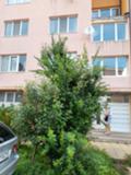 Продава 2-СТАЕН, град София, Овча купел • 140000 € / 273816.20 лв. • 75180829 17