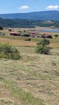 Продава ЗЕМЕДЕЛСКА ЗЕМЯ, гр. Батак, област Пазарджик, снимка 4 - Земеделска земя - 37447398