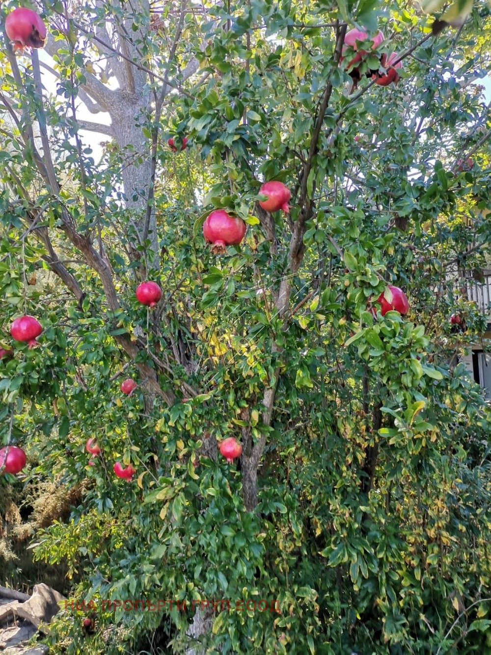 ������� ���� | Imot.bg � ����������� 9