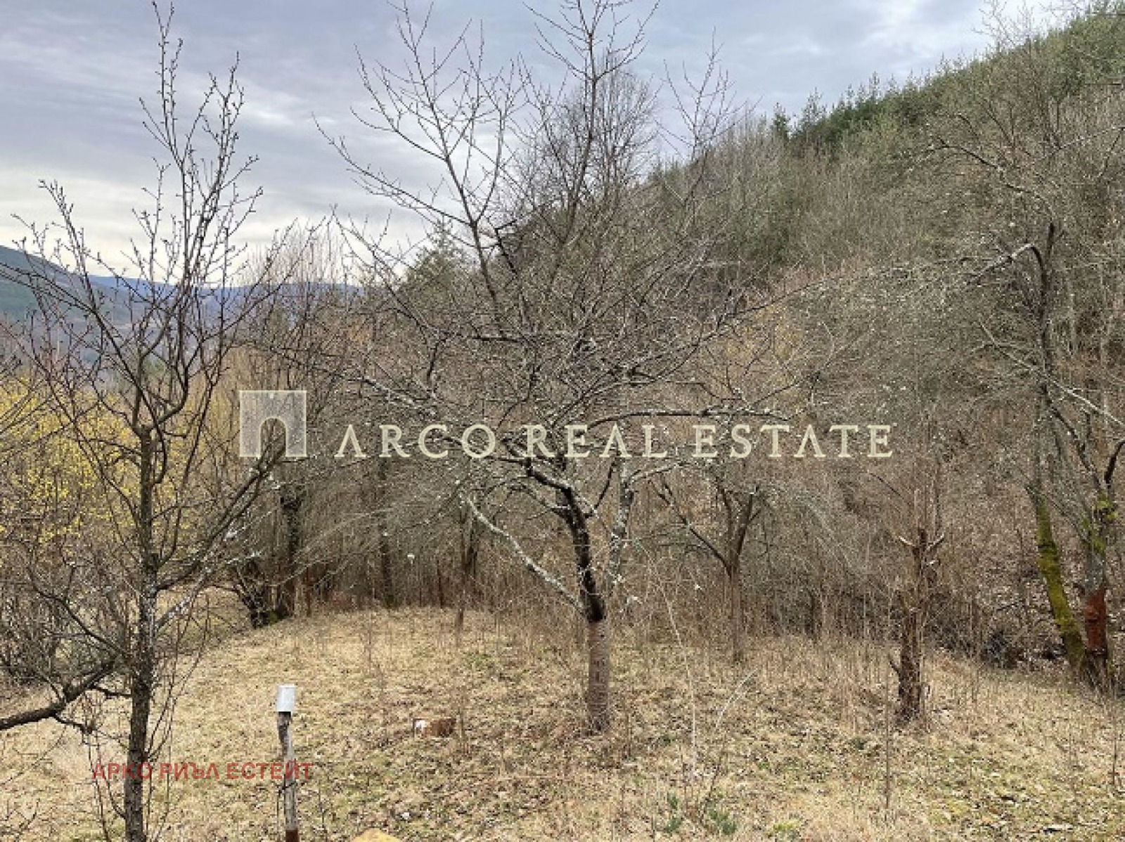 ������� ������ | Imot.bg � ����������� 16